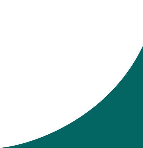 Vector 2 (1)